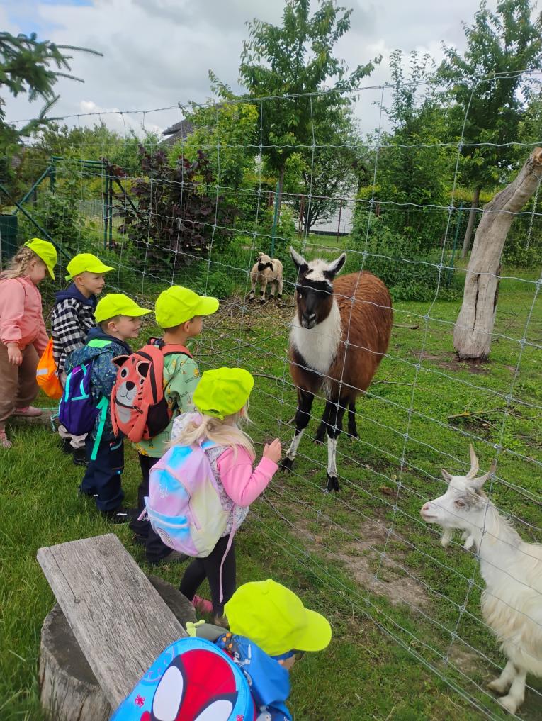 Zoopark Stěžery