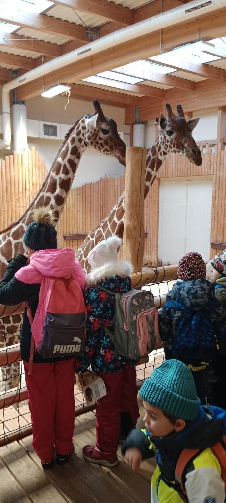 ZOO Dvůr Králové nad Labem