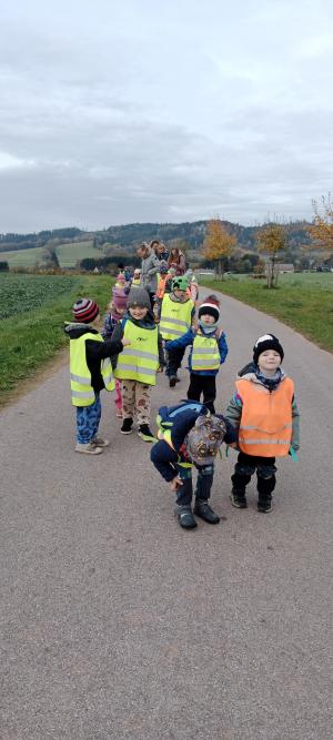 Putování cyklostezkou